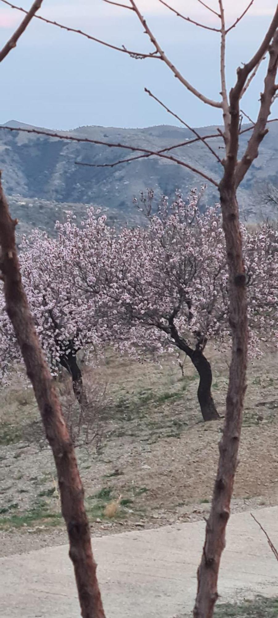 Сasa de vacaciones Cortijo Pilares *